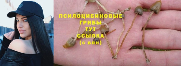 mdpv Армянск