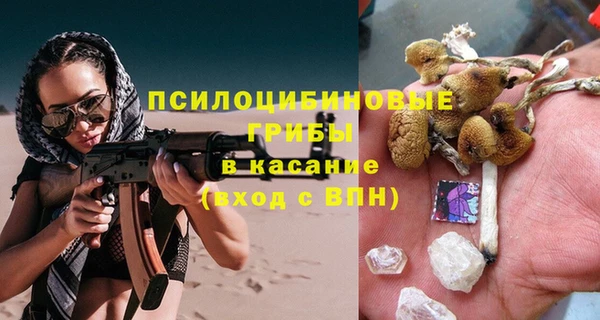 ешки Арсеньев