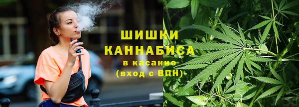 ешки Арсеньев
