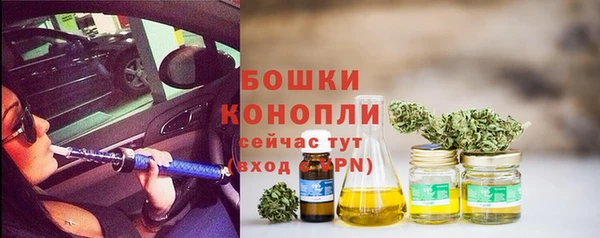 ешки Арсеньев