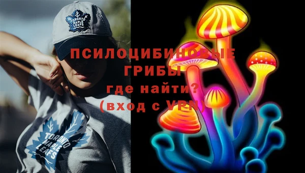 ешки Арсеньев